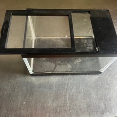 爬虫類飼育セットの画像