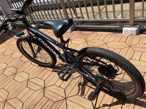 子供自転車20インチ　コグホーン(COGHORN)