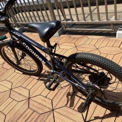 子供自転車20インチ　コグホーン(COGHORN)の画像