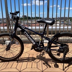 子供自転車20インチ　コグホーン(COGHORN)の画像