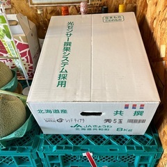 秀品らいでんメロン✨残り1箱＋3玉あります☆の画像