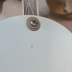 中古　シーリングファン　照明の画像