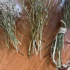 ドライフラワー花材の画像