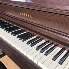 ヤマハ SCLP-6450R
の画像