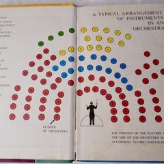 イギリス ヴィンテージ MUSICAL INSTRUMENTS 本の画像