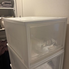 収納力抜群◎アイリスオーヤマ 収納ケース 深型Lサイズ 5個セットの画像