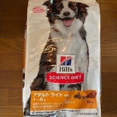 2袋わんこご飯　シニア　未開封の画像