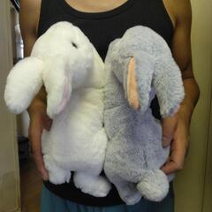 サンレモン　ひざウサギ　2つセットの画像