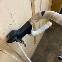 Calamita due　　の画像