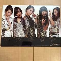 KARA 下敷きの画像