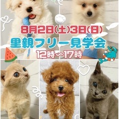 8/2-8/3🐶🐱わんにゃん里親フリー見学会