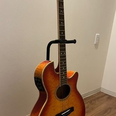 エレアコギターの画像