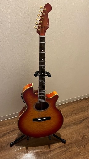 エレアコギター