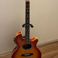 エレアコギター