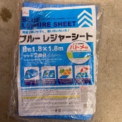 レジャーシートの画像