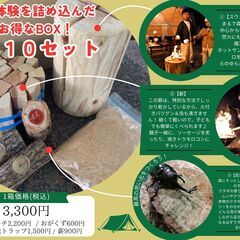 【親子で森あそびBOX】キャンプ場・アウトドア施設向けにご提案！の画像