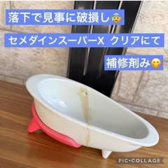 🉐【訳あり  ハリオ (HARIO)ワンコプレート 】 ベストセラー商品  磁器製 ピンク  ペット食器 の画像