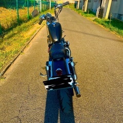 ハーレーダビッドソン　03年式　XL883の画像