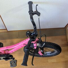 TREK Precaliber 16トレック キッズバイク 16インチの画像
