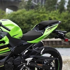 kawasaki ninja ハイシートの画像