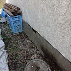 垂木の画像