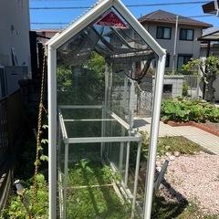 温室の画像