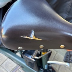 Panasonic ギュット 子乗せ電動自転車 (後ろ乗せ)の画像