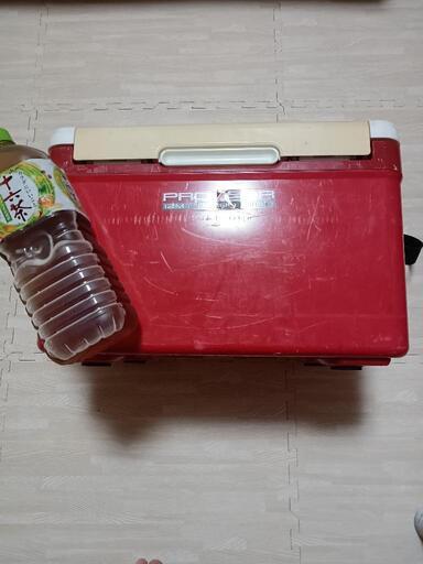 放出品 PowerFlare 正規品(中古美品) サバゲー 登山 マリンスポーツ SYNDICATE シンジケートSFT JPN FUN 1COL S 7'2FT ファンボード