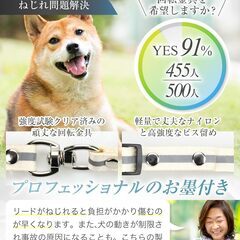 【ドッグトレーナー推薦・JPPMA認定品】犬用リード 小型犬中型犬 ダブルリードの画像