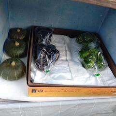 新鮮野菜の画像