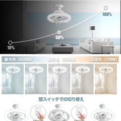 【決定】シーリングファンライト　西彼、長崎市、大瀬戸町相談可の画像
