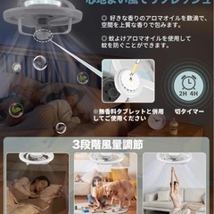 【決定】シーリングファンライト　西彼、長崎市、大瀬戸町相談可の画像