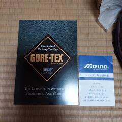 ミズノ　スニーカーの画像