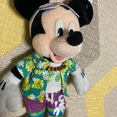 ディズニー　ミッキー　ミニー　ドナルドの画像