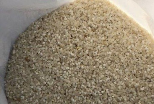 鳥エサ用くず米40kg アウトレット 鳥のエサ くず米 40kg のりちゃん 鳥