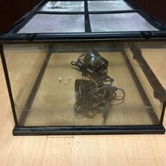 爬虫類水槽の画像