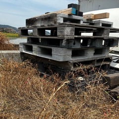 プラパレ！希少！1枚400円の画像