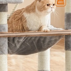 キャットタワーの画像