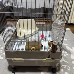 うさぎケージ
の画像