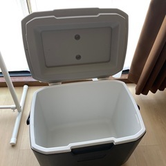 【限定モデル】 コールマン COOLER 30QT AP20 LIGHT GRAYの画像