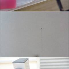 ②　サンワサプライ　パソコンデスク　オフィスデスク　SH-B1260　ワークデスク　作業台　幅120㎝　白家具　シンプルデザイン　引取り歓迎の画像