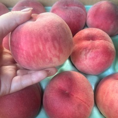 まだあります！あかつき桃4個1,000円（大きさバラバラ）の画像
