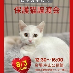🐱にゃお子んち🐱保護猫譲渡会🏡　　　　　中山公民館