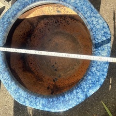 火鉢 メダカ 水生植物 水蓮 金魚の画像