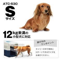 小型犬のキャリーの画像