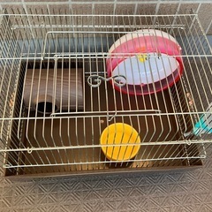 ハムスター飼育セット　ゲージ　小動物ケージの画像