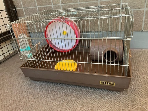 ハムスター　飼育セット　中古 飼育ケース ゲージ ゴールデンハムスター ハムスター クリア