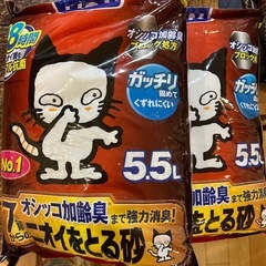 【猫砂とトイレ】LION7歳からのニオイをとる砂×2と上から猫トイレの画像