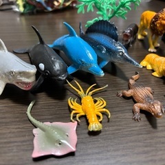 動物セットの画像