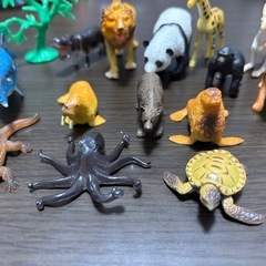 動物セットの画像